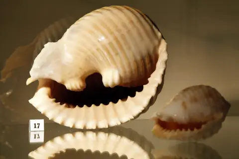 Krása moří a oceánů (9)