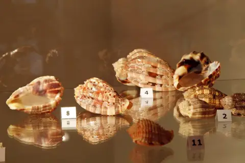 Krása moří a oceánů (11)