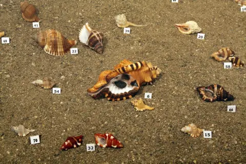 Krása moří a oceánů (12)