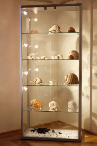 Krása moří a oceánů (13)