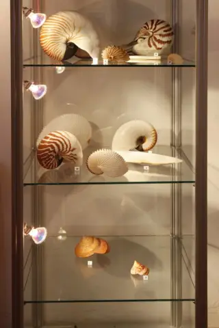 Krása moří a oceánů (17)