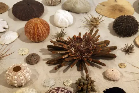 Krása moří a oceánů (18)