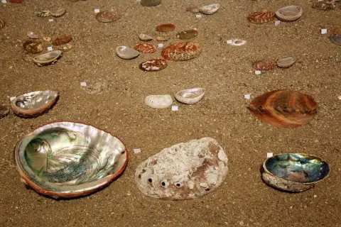 Krása moří a oceánů (20)