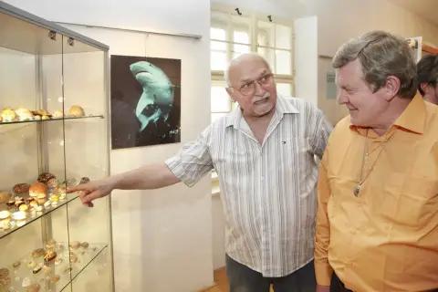 Krása moří a oceánů (39)