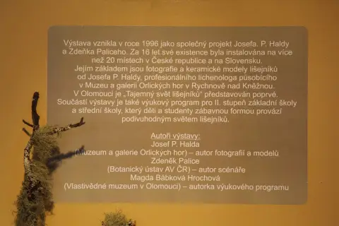 Tajemný svět lišejníků (10)