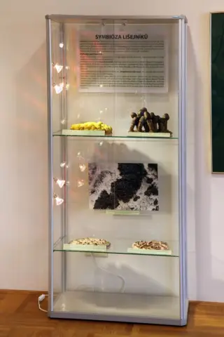 Tajemný svět lišejníků (11)