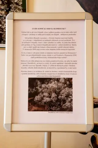 Tajemný svět lišejníků (15)
