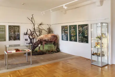 Tajemný svět lišejníků (2)