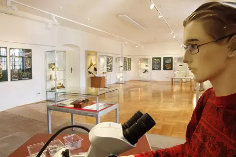 Tajemný svět lišejníků (20)