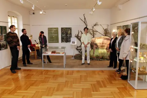 Tajemný svět lišejníků (28)