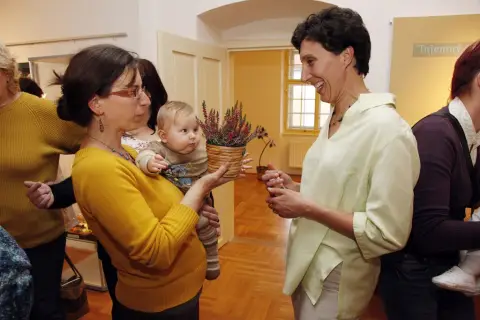 Tajemný svět lišejníků (42)