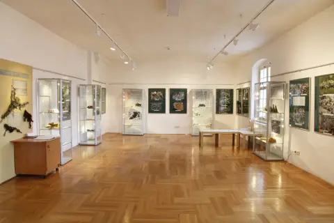 Tajemný svět lišejníků (5)