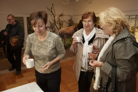 Tajemný svět lišejníků (52)