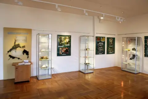 Tajemný svět lišejníků (6)