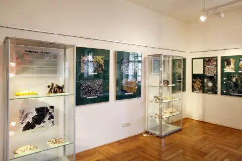 Tajemný svět lišejníků (7)