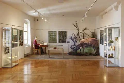 Tajemný svět lišejníků (1)