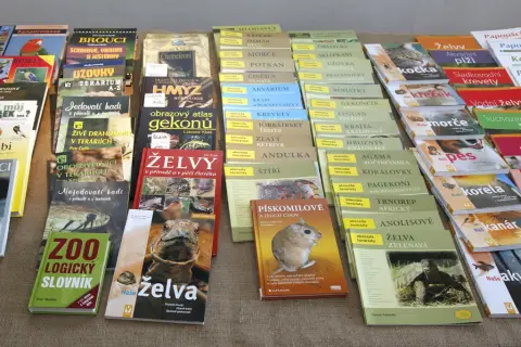 Výstava terarijních zvířat (11)