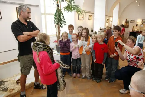 Výstava terarijních zvířat (14)