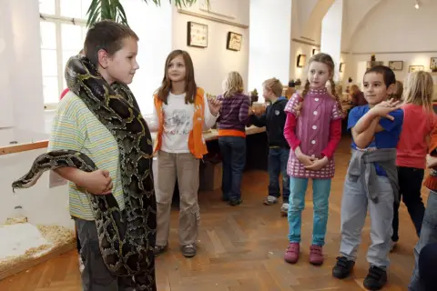 Výstava terarijních zvířat (18)