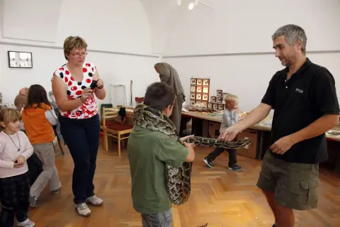 Výstava terarijních zvířat (21)