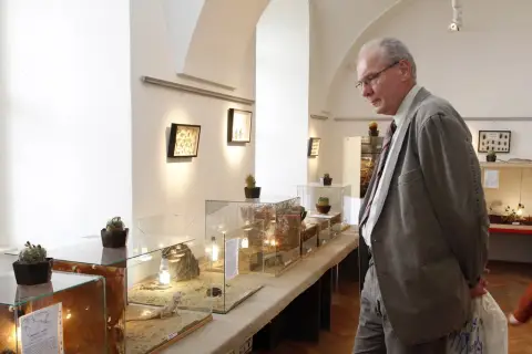 Výstava terarijních zvířat (3)