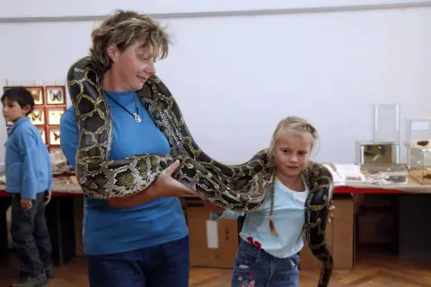 Výstava terarijních zvířat (30)