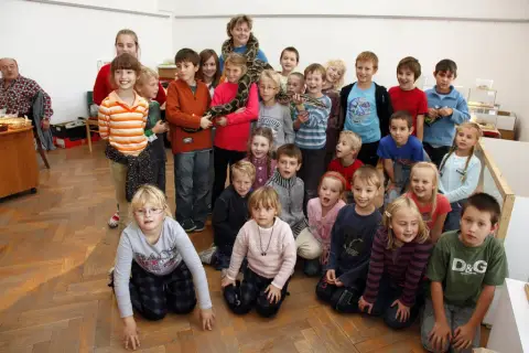 Výstava terarijních zvířat (31)