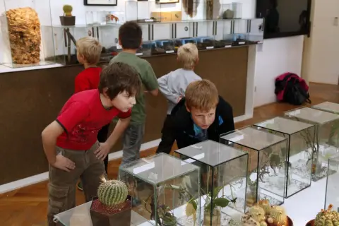 Výstava terarijních zvířat (6)