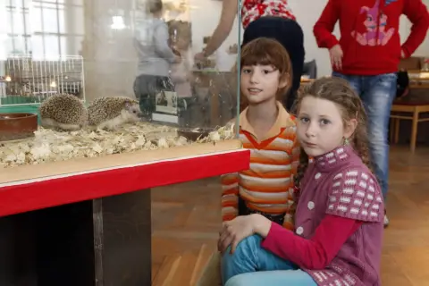Výstava terarijních zvířat (8)