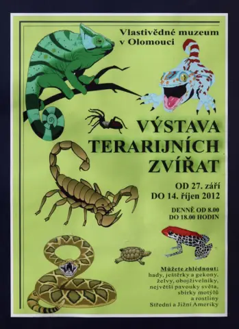 Výstava terarijních zvířat (1)