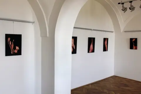 Zaklínadla (2)