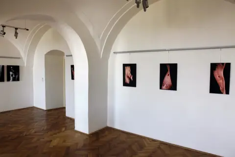 Zaklínadla (3)