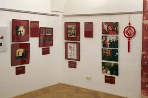 Opičí král (7)
