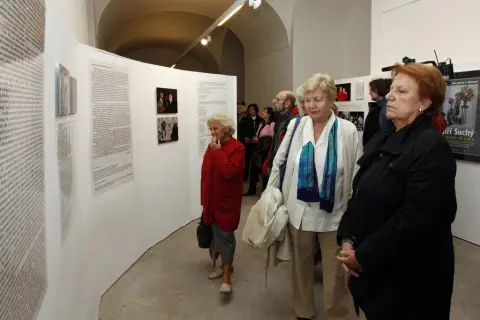 Jiří Suchý (298)