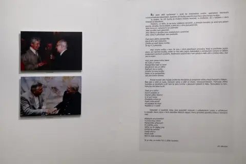 Jiří Suchý (113)