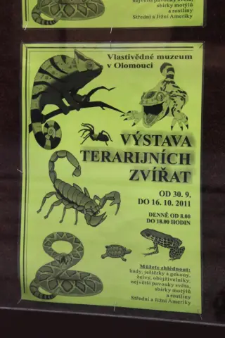 Terarijní zvířata (36)