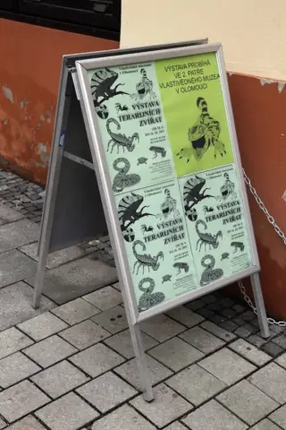 Terarijní zvířata (35)