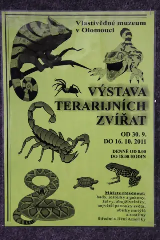 Terarijní zvířata (34)