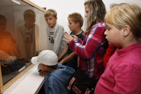 Terarijní zvířata (2)