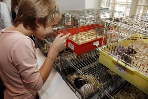 Terarijní zvířata (18)