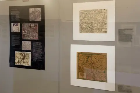 Silesia Picta (24)