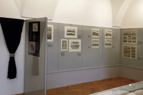 Silesia Picta (28)