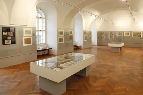 Silesia Picta (9)