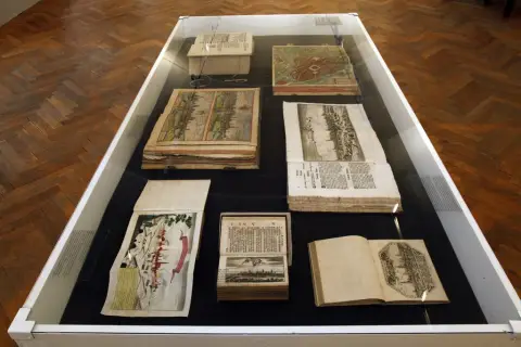 Silesia Picta (13)