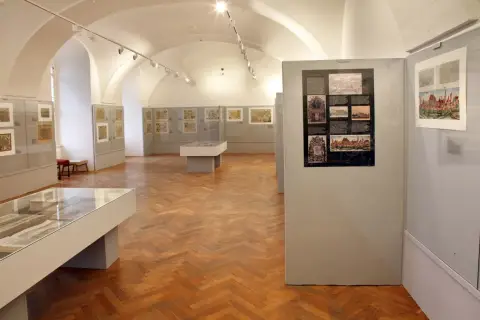 Silesia Picta (10)