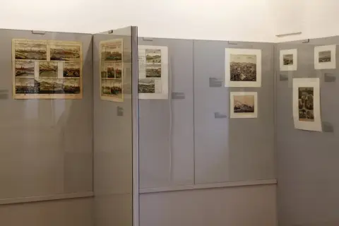 Silesia Picta (25)