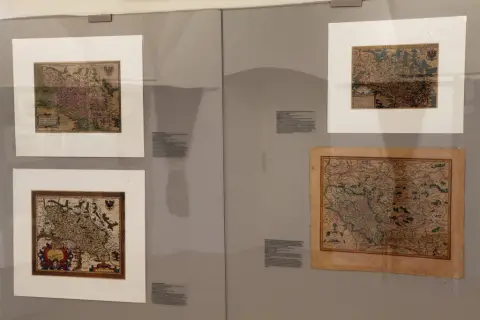 Silesia Picta (22)