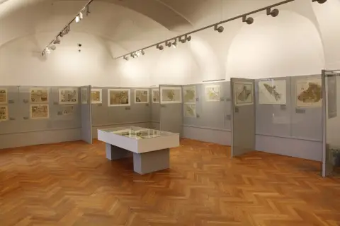 Silesia Picta (4)