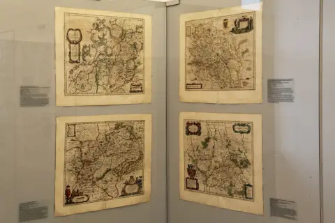 Silesia Picta (17)