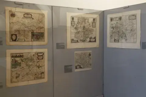 Silesia Picta (18)